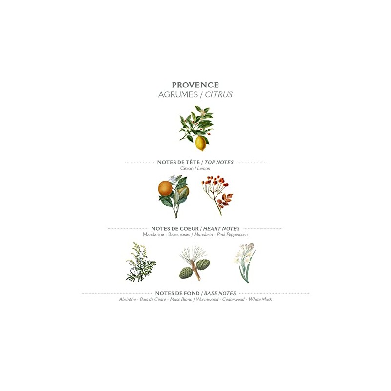 Panier Des Sens Vegetable Soap Provence
