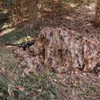 LOOGU Camo Netting, Camouflage Net Blinds Great for Sunshade Camping