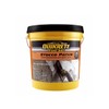 Quikrete FastSet 20 lb. Stucco Patch