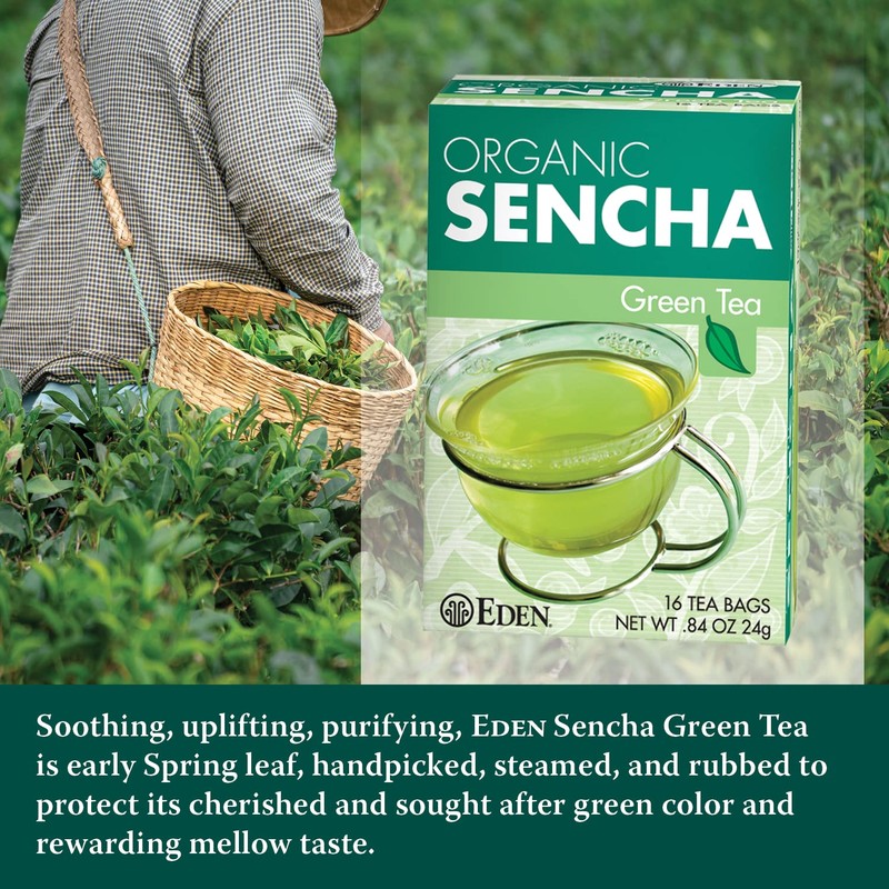 Eden Organic Sencha Green Tea, Japanese, Uji Cha, 16 Unbleached