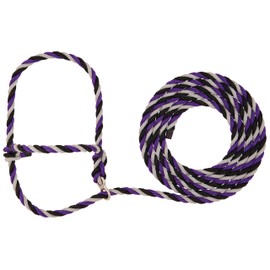 Weaver Leather Livestock Stierwalt Breaking Halter, Purple/Black/Gray, 8 1/2'