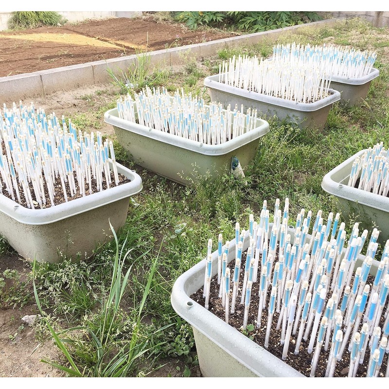 Cabinoche C-0012-BK SUSTEE Watering Checker Susty M Size Black