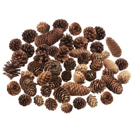 Jangostor 40 PCS Christmas Pine Cones Natural Pine Cones Like a Peak Tower Pine Cone Christmas Tree Decorations for Home Party Crafts Gift Wedding Christmas Tree Winter Decoration