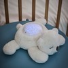Nattou LED Night Light Koala Bear Starry Sky Projector 3