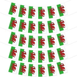 9m Welsh Flag Dragon Bunting,UK Britain Wales Welsh Flag Bunting Banner 30 Pcs Welsh Dragon Flag String Indoor Outdoor Bunting for Euro World Cup Football St.David's Day Party Decorations