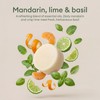 Vove Dish Soap Bar 3 Pack, Coastal Citrus Mint, Mandarin,