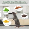 Natural Peppermint Oil Rodent Repellent - 24 Pack