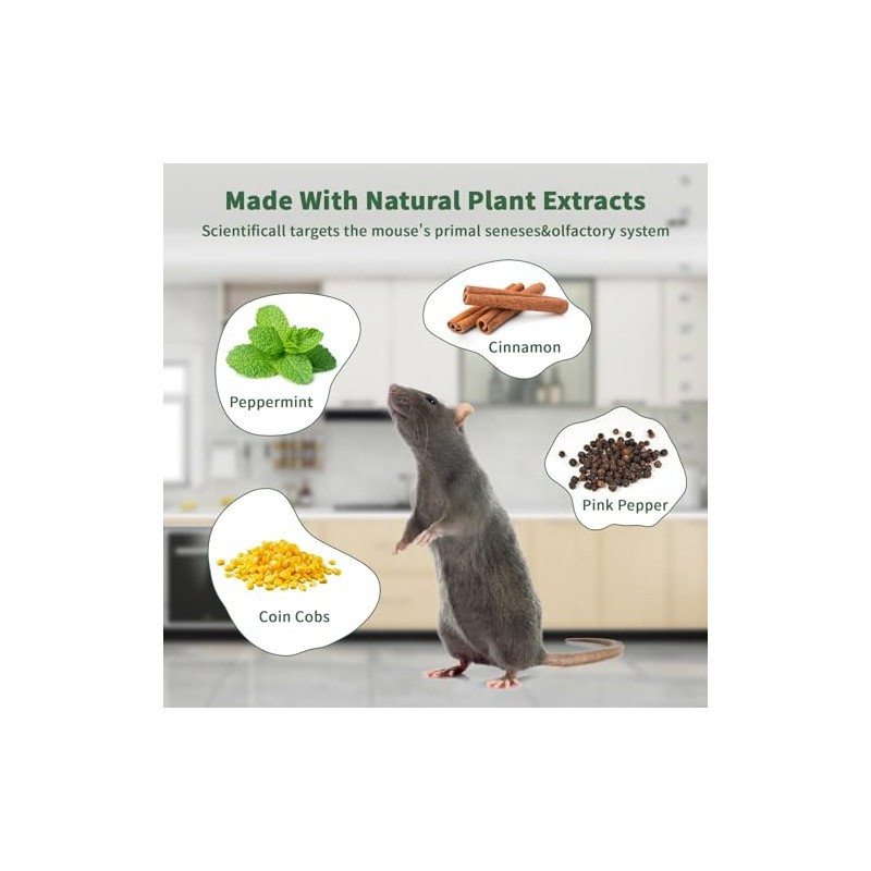Natural Peppermint Oil Rodent Repellent - 24 Pack