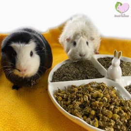 Food4Buns Immune Kicker Mix 2, 4, 8 oz, Bunny Rabbit Guinea Pig Chinchilla Hamster Degu - 4 oz