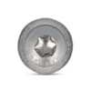 Rounded Head Screws with Flange TORXM6 (M6 x 60)