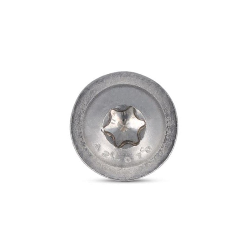 Rounded Head Screws with Flange TORXM6 (M6 x 60)