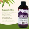 Herbs Etc. Rocky Mountain Throat Syrup - Supports Throat Wellness