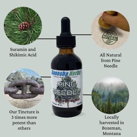 Ganesha Herbs Pine Needle Liquid Tincture Herbal Liquid Dual Extract Shikimic Acid - 2 Oz (2 Pack)