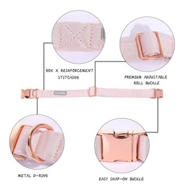 Lionet Paws Dog Collar with Bow Tie - Comfortable Silk Pink Dog Collar with Removable Bow Tie for Small Dogs, Neck 25-40 cm