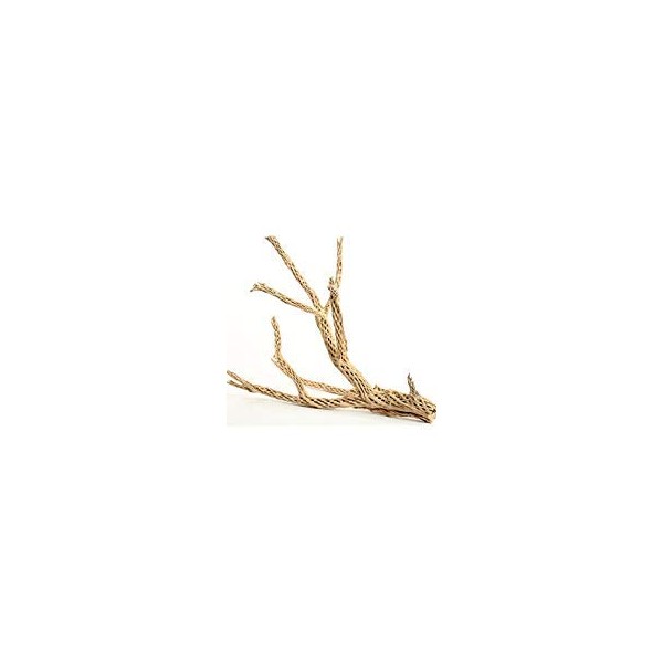 Koyal Wholesale Cholla Wood Aquarium Branches, Airplants Decor, Reptile Perch, Natural Home Decoration, Chew Toy Dried Cactus Wood (24-Inch)