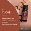 Edens Garden Clove- Bud Essential Oil, 100% Pure Therapeutic Grade