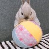 Mini Animan Bunny Toy Big Soft Ball