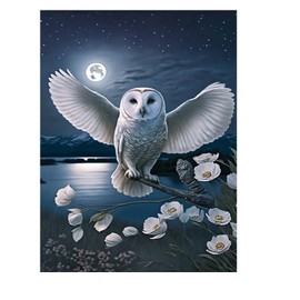 Owl Diamond Painting Kit for Adults - Night 5D Diamond Art Kit, Full Diamond Painting, Gemstone Arts and Crafts for Beginners Kids Home Wall Decor 8x12 inches