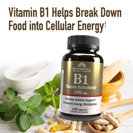 Windmill VIT B-1 TABS 100 MG WMILL 100