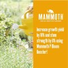Mammoth P Bloom Booster | Organic Microbial Inoculant | 16%