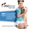 PetSilver Wound & Skin Spray - Chelated Silver, Superior to