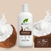 Dr. Organic Cocco 265 ml Conditioner 265 ml (Pack of