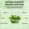 ARCHIDATE Aloe Vera Face Cream Moisturizer, Moisturizing Cream with 98%