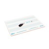 A4 Mini Dry-Wipe Music whiteboard with 3 pre-Printed Staves