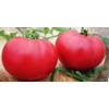 Giant Raspberry Malinowy Olbryzm Polish Tomato Premium Seeds for Planting