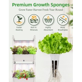 AOONEG 144pcs Seed Pod Kit: 50 Grow Sponges, 50 Pod Labels, 20 Grow Baskets, 20 Grow Domes, 4 A&B Plant Food，Grow Anything Kit,Compatible with Hydroponics Growing System from All Brands (144 pcs)