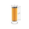 Bosch Automotive P7126 Oil Filter Car