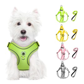 Feycig Dog Harness for Small Dogs, Anti-Pull Adjustable, Reflective Harness, Breathable, Soft, Mesh Harness, Dog Lightweight Puppy Harness, Chest Harness with Handle (Green, Large)