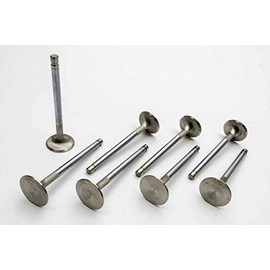 Manley 106498 Stainless Steel Performance Valves - Set of 8