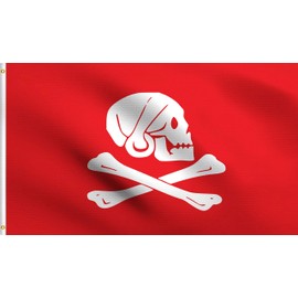 DMSE Henry Every Red Jolly Roger Skull Crossbones Death Pirate Flag 3X5 Ft Foot 100% Polyester 100D Flag UV Resistant (3'X5' Ft Foot)