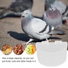 20Pcs Bird Food Bowl Plastic Parrot Water Feeding Cup Birdcage