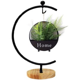 Archi G-Shaped Ornament Display Stand Iron Pothook Stand for Hanging Glass Terrarium/Picture with Wood Base (G Shape-Black)