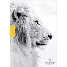 NLT Courage For Life Study Bible for Men, Filament Enabled (Softcover)