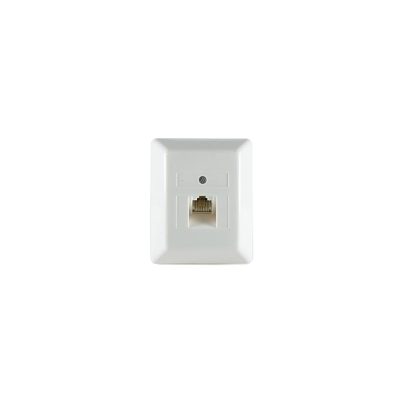 PROTEC.NET PUAE Junction Box 1xRJ45 8(8) AP cw