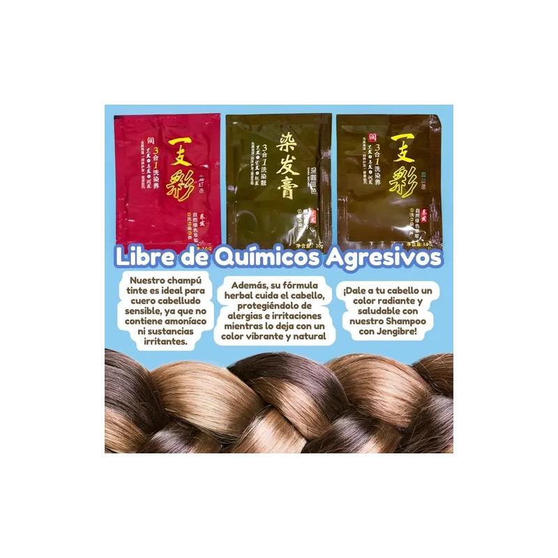 Shampoo Tinte Instantáneo Natural Cubre Canas Jengibre 120pz