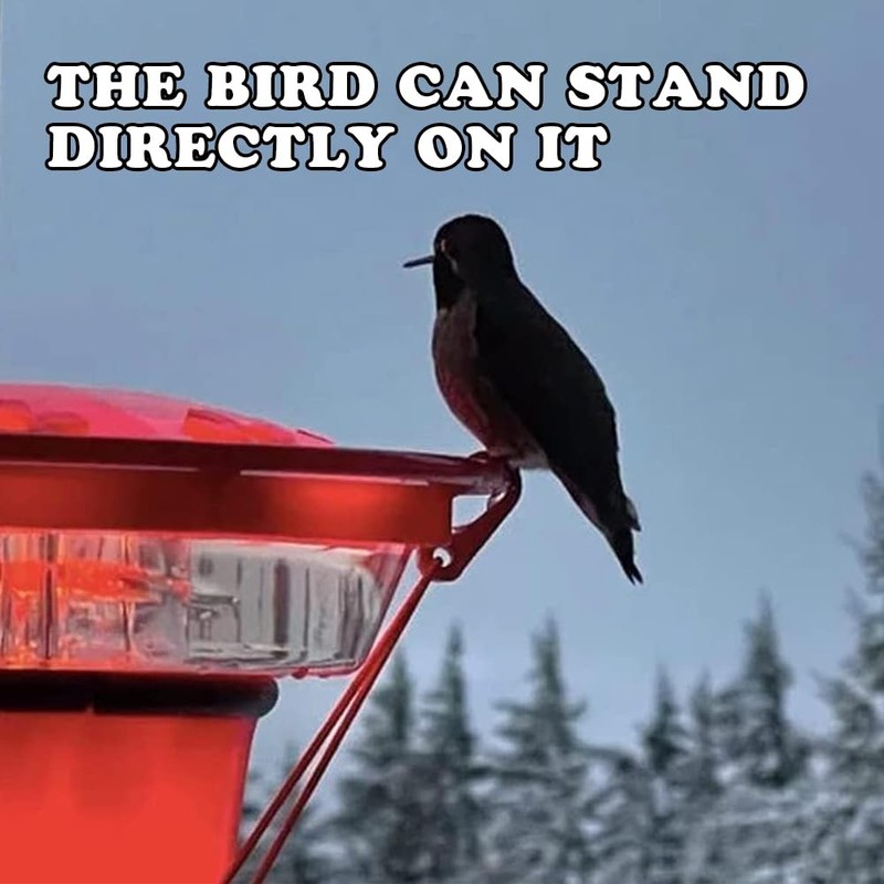 Hummingbird Feeder Heater, Heated Hummingbird Feeders for Outdoors, Bird Feeder