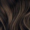 Mocha Bronde Balayage Single Hair Color Sample