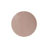 PRE GEL Color EX Mist Brown 0.1 oz (3 g)