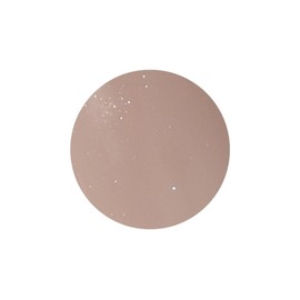 PRE GEL Color EX Mist Brown 0.1 oz (3 g) PG-CE998