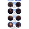 Magic Powder 1.8 oz (50 g), Set of 6 [Dark