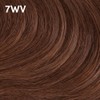 COLORCHARM Permanent Liquid Hair Color for Gray Coverage| 7WV Nutmeg