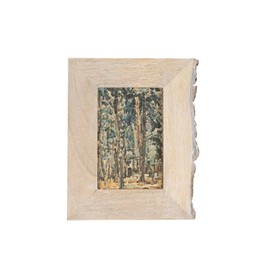 Foreside Home and Garden 4x6 Photo Live Edge on Side Picture Frame Whitewash Wood with Glass Pane by Foreside Home & Garden