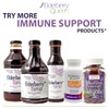 Elderberry Queen Organic Elderberry Gummies 60 ct - Immune Support