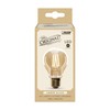 Feit Electric Vintage Exposed Filament Smoke Glass LED AT19 with
