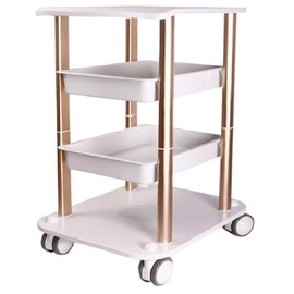 Salon Beauty Cabinet Cart Trolley 2 Layer Rolling Storage, Rolling Trolley Cart Beauty Machine Salon Spa Storage Equipment Organizer Stand