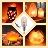 SouLight Salt Lamp Bulb -15 Watt Replacement Bulbs for Himalayan